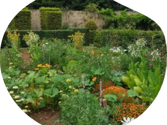 jardin remarquable de Lantilly 