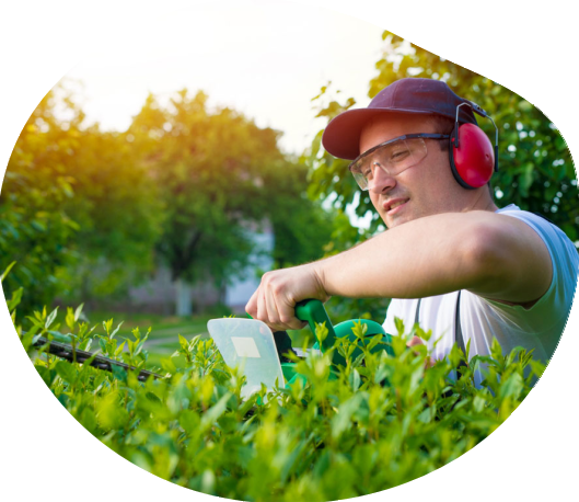 Jardinier professionnel qui taille une haie avec un casque anti-bruit sur les oreilles